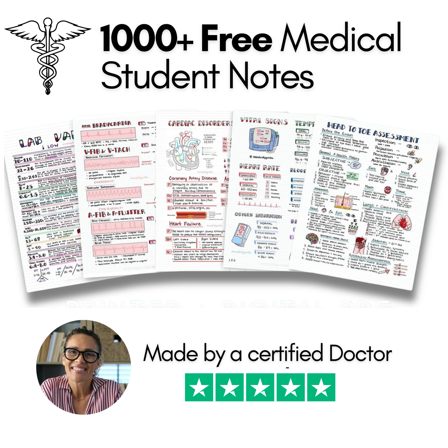 1000 + Free Medical Study Notes